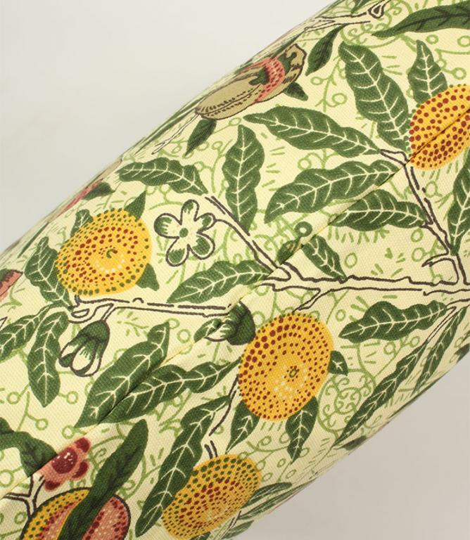 Regular Cushions - Fruits