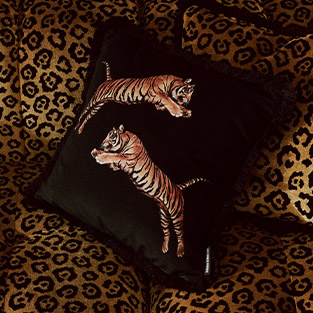 Paloma Home Cushions