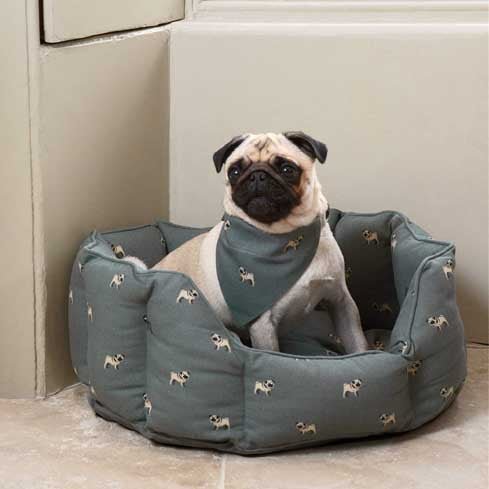 Why you'll love Sophie Allport Fabrics - Just Fabrics