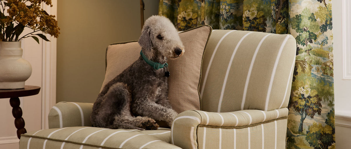 Pet Friendly Upholstery Fabric