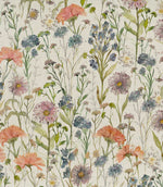 Medmerry Fabric / Apricot