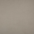 Bray FR Fabric / Taupe