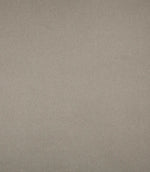 Bray FR Fabric / Taupe