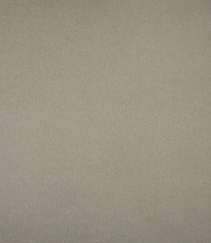 Bray FR Fabric / Taupe