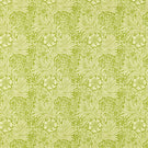 Marigold Fabric / Cream / Sap Green