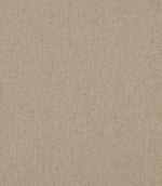 Bray FR Fabric / Oatmeal