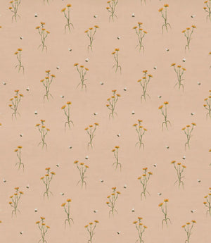 Allimore Fabric / Apricot