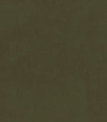 Cotswold Velvet Fabric / Fern - Just Fabrics