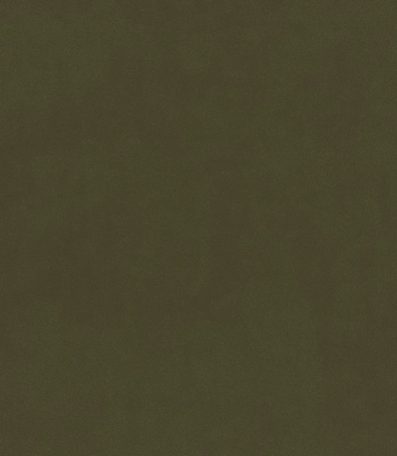 Cotswold Velvet Fabric / Fern - Just Fabrics