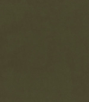 Cotswold Velvet FR Fabric / Fern