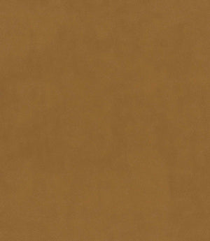 Cotswold Velvet FR Fabric / Caramel