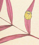 Willow Leaf Beetle Cushion Panel - Just Fabrics