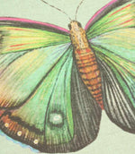 Butterfly Duck Egg Cushion Panel - Just Fabrics