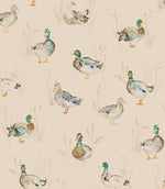 Paddling Ducks Cream Wallpaper - Just Fabrics