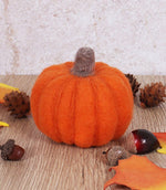 Pumpkin Needle Felting Kit - Just Fabrics