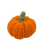 Christmas Crafts - Pumpkin Crochet Kit