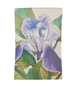 Voyage Maison Rugs - Darwen Cornflower Rug