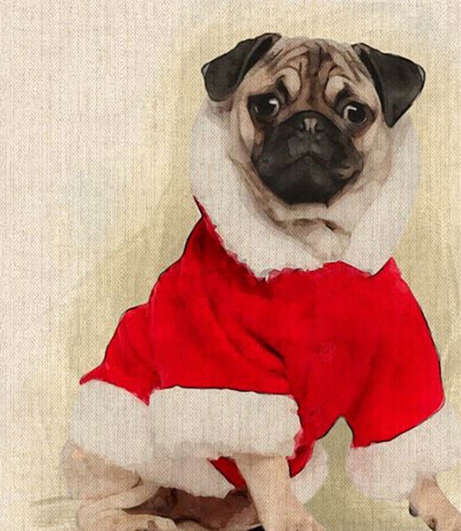 Festive Pug Cushion Panel - Just Fabrics