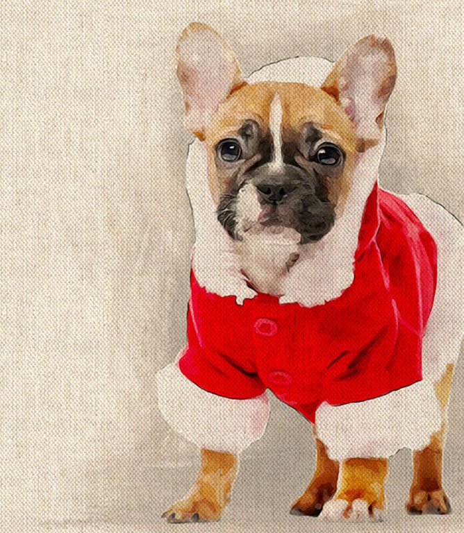 Festive Bulldog Cushion Panel - Just Fabrics