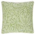 Acorn Sage Cushion