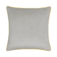 Meridian Dove / Cylon Velvet Cushion