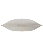 Meridian Dove / Cylon Velvet Cushion - Just Fabrics