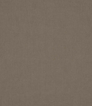 Antique Linen Fabric / Twill