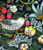 Strawberry Thief Velvet Fabric / Onyx