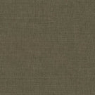 Loomspun Fabric / Turtle