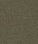 Loomspun Fabric / Turtle