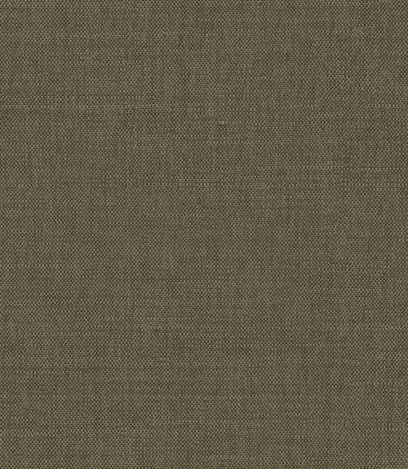 Loomspun Fabric / Turtle
