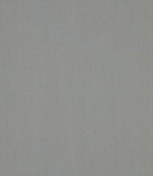 Antique Linen Fabric / Seamist