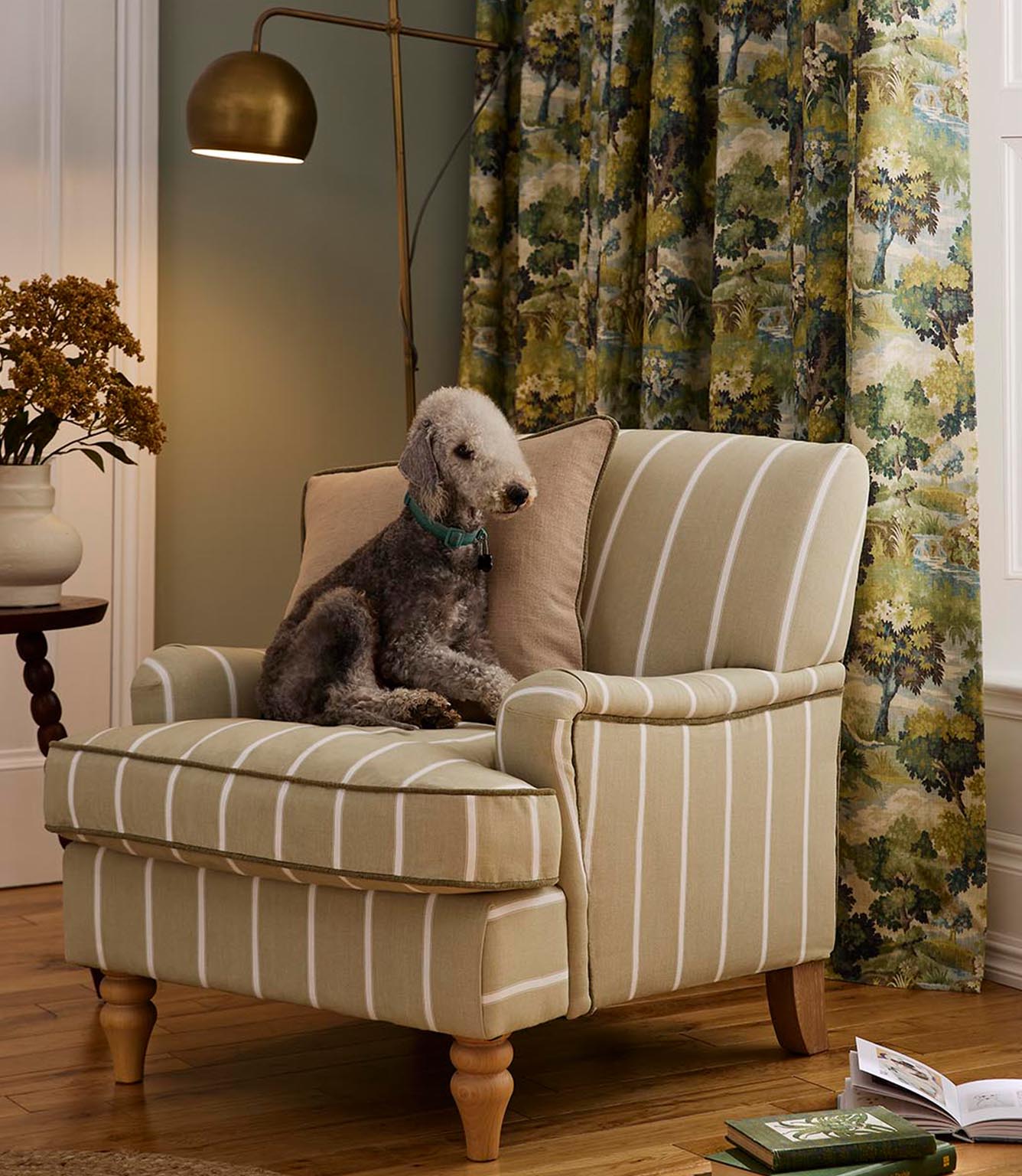 Cosy armchair upholstered in beige ticking stripe fabric, styled with a neutral cushion and set against richly patterned countryside print curtains, with a dog resting on the seat.