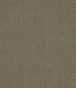 Antique Linen Fabric / Sage