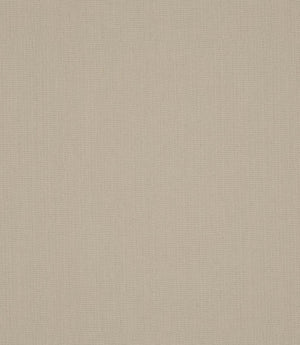 Antique Linen Fabric / Oat