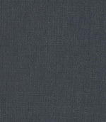 Antique Linen Fabric / Neptune