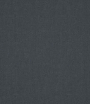 Antique Linen Fabric / Neptune