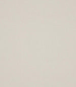 Antique Linen Fabric / Ivory