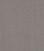 Antique Linen Fabric / Gris