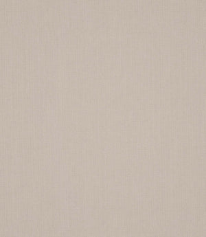 Antique Linen Fabric / Flax
