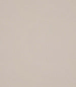 Antique Linen Fabric / Chalk