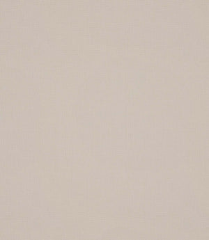 Antique Linen Fabric / Chalk