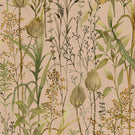 Lydiard Fabric / Apricot