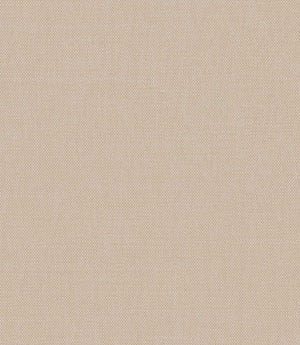 Loomspun Fabric / Champagne