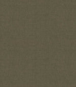 Loomspun Fabric / Turtle