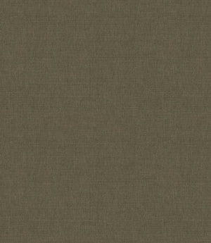 Loomspun Fabric / Turtle