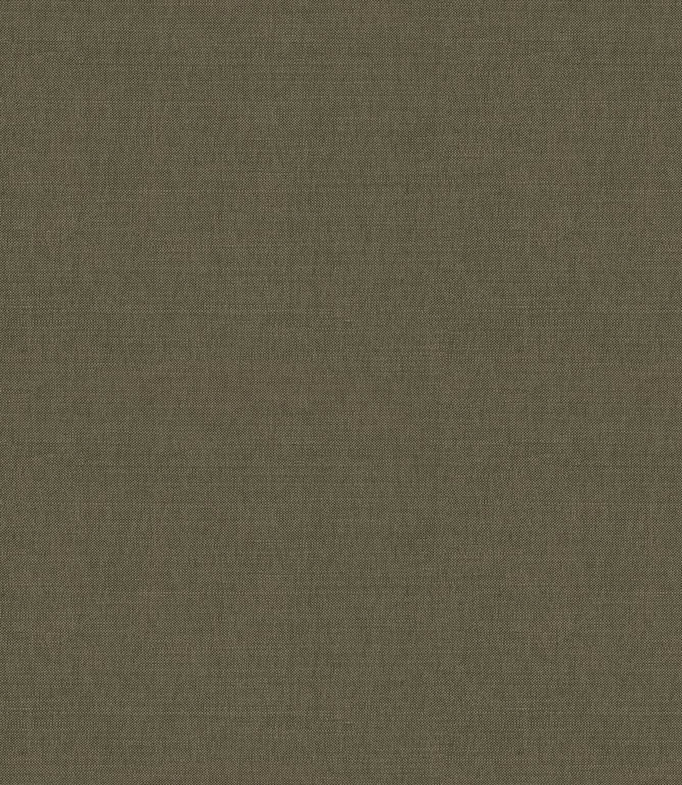Loomspun Fabric / Turtle