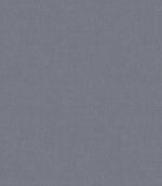 Loomspun Fabric / Sky