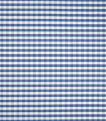All-over gingham design in fresh blue and white tones, showing a neat, evenly spaced check pattern with a crisp, versatile finish.