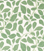 Sweet Bay Print Fabric / Forest